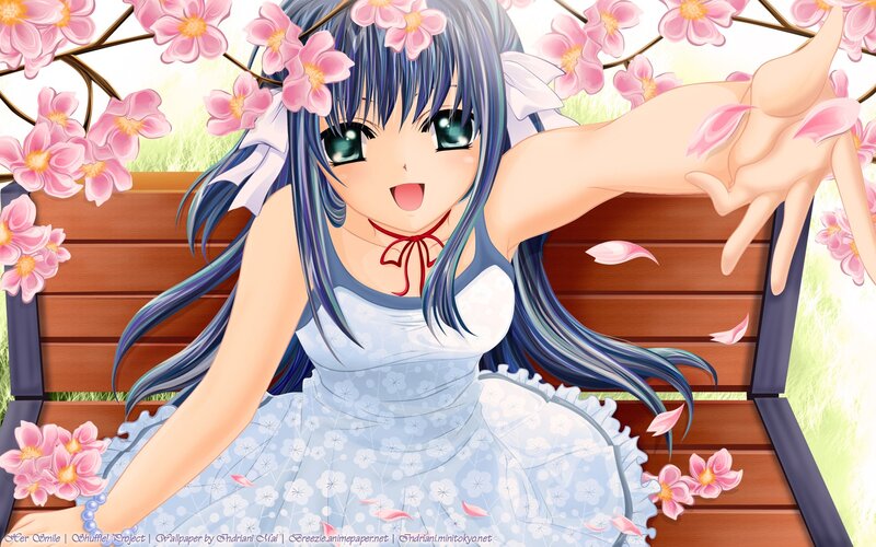 Anime girl on bench with cherry blossoms