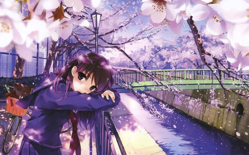 Anime Girl on Bridge — Purple, Serene, Spring, Cherry Blossoms, Bicycle, River, Pink