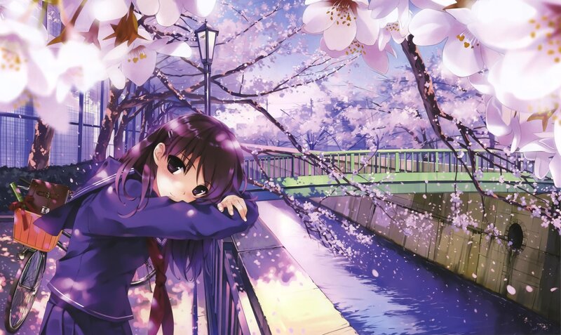 Anime Girl on Bridge — Purple, Serene, Spring, Cherry Blossoms, Bicycle, River