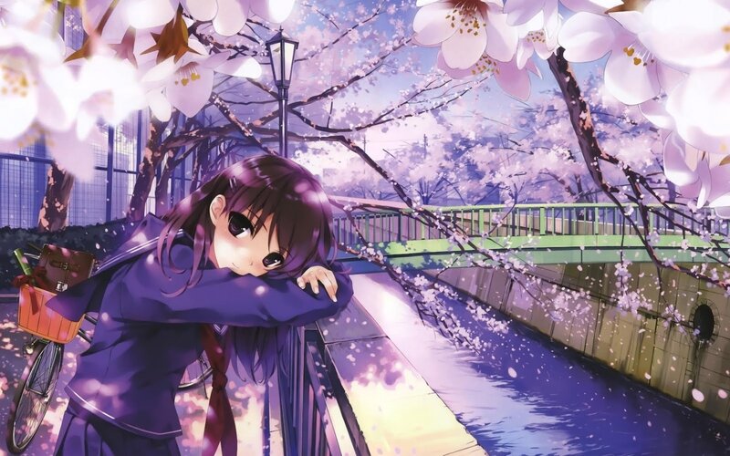 Anime Girl on Bridge — Purple, Serene, Spring, Cherry Blossoms, Bicycle