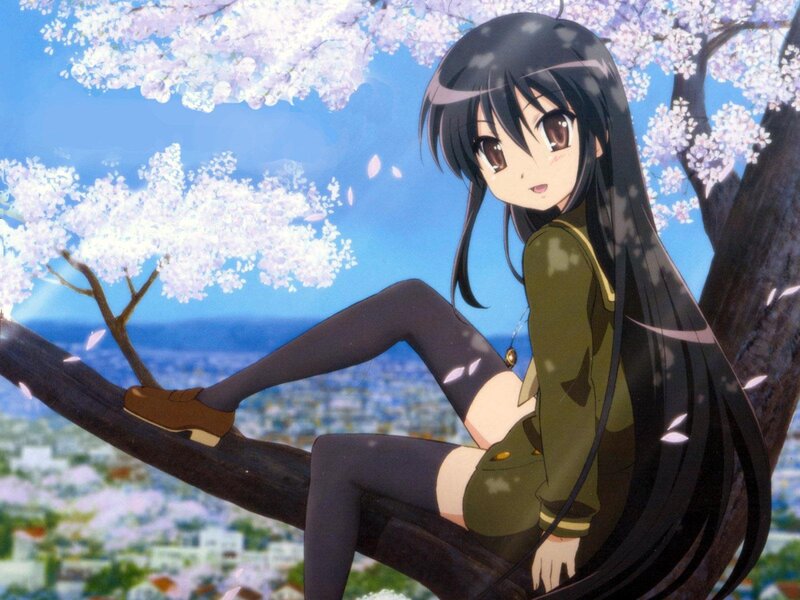 Anime girl on cherry blossom tree