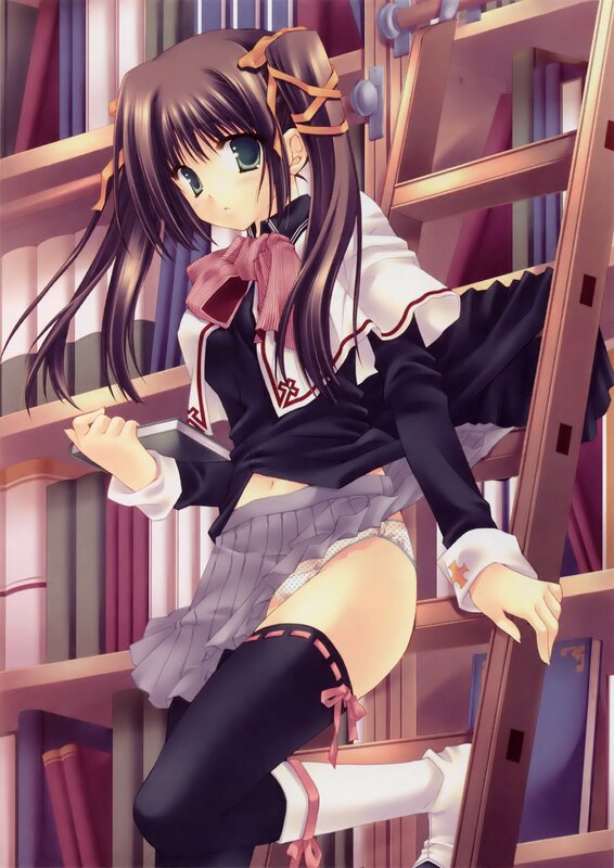 anime girl on ladder with book