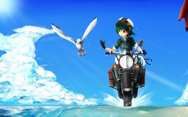 Anime girl on motorcycle with seagull