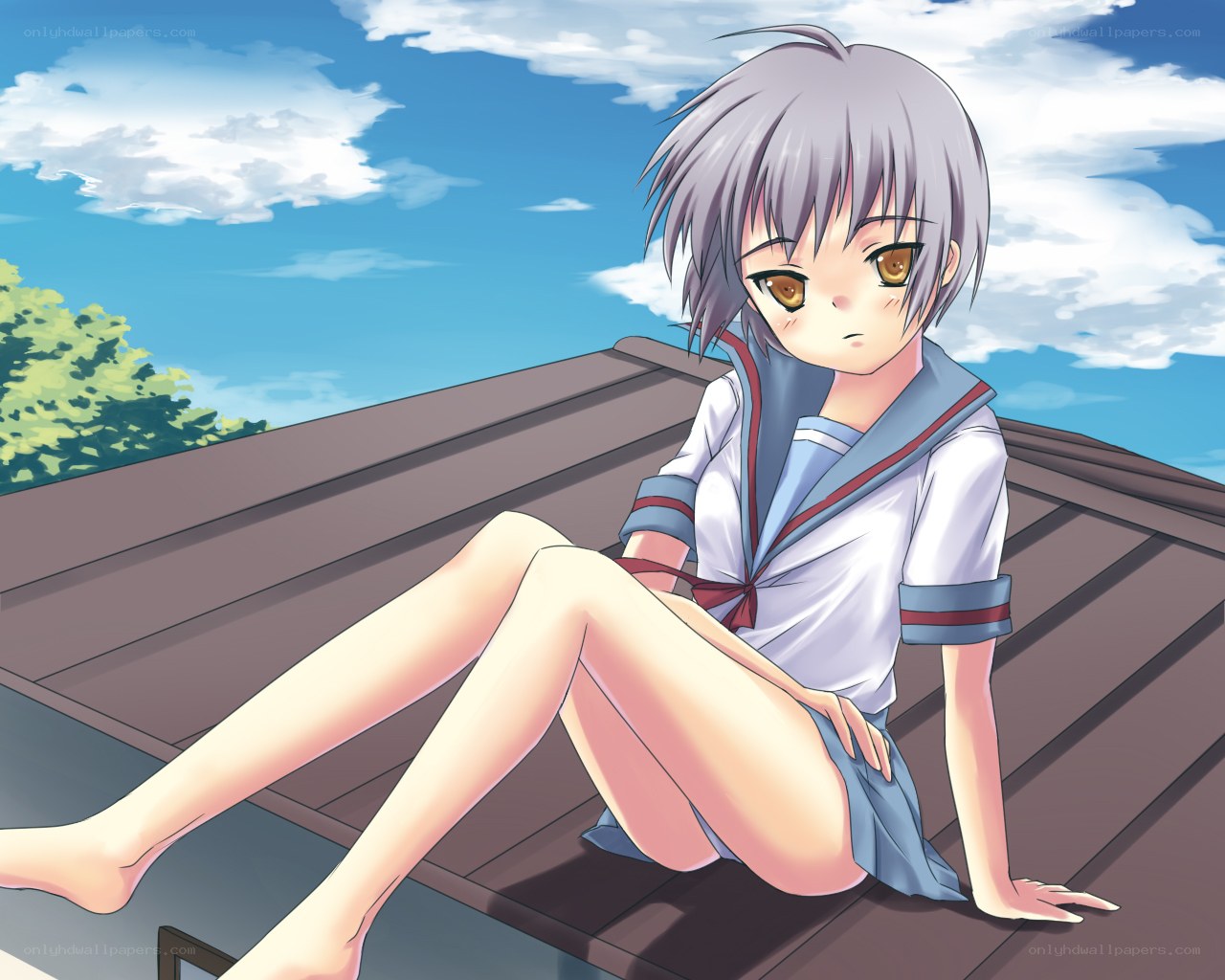 anime girl on roof