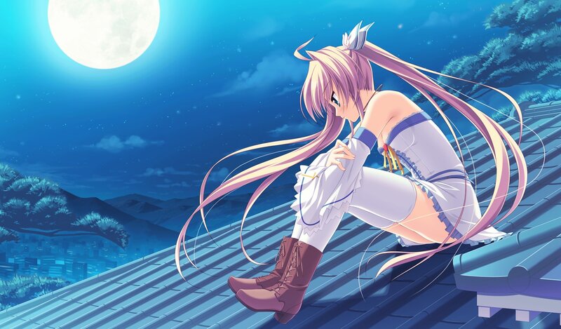 anime girl on rooftop at night