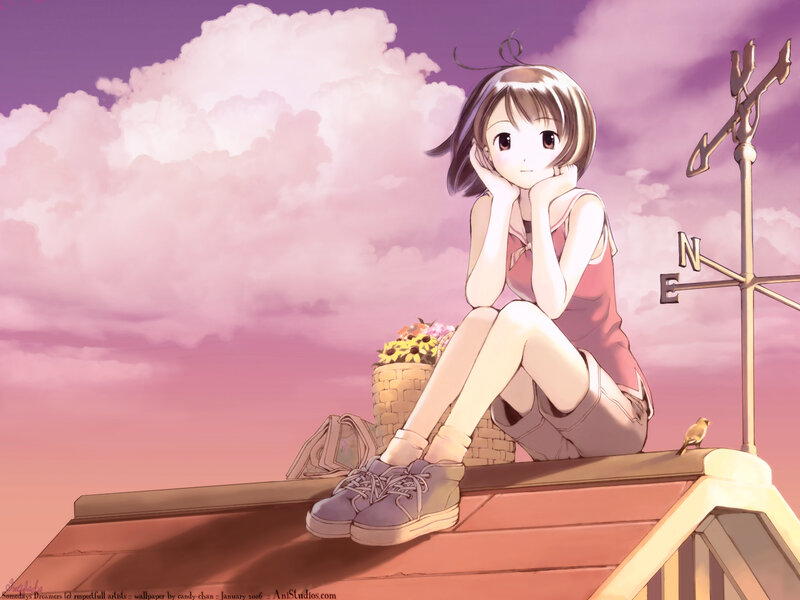 Anime girl on rooftop at sunset