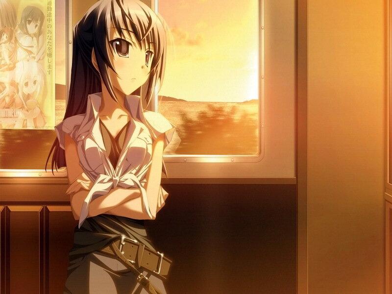 anime girl on train at sunset