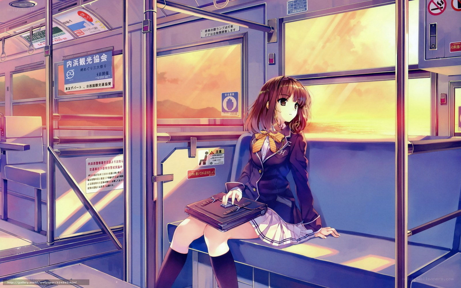 Anime girl on train at sunset