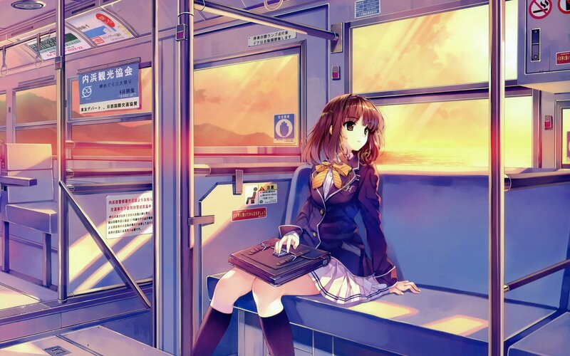 Anime girl on train at sunset