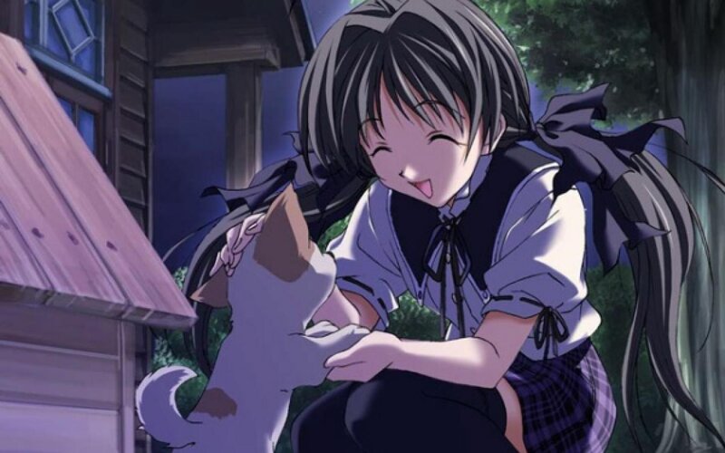 Anime Girl Petting Cat