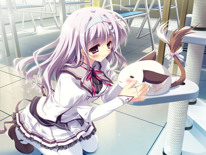 Anime Girl Petting Cat — White