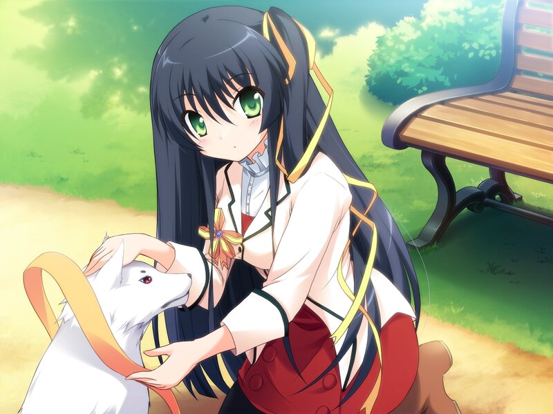 Anime Girl Petting White Fox