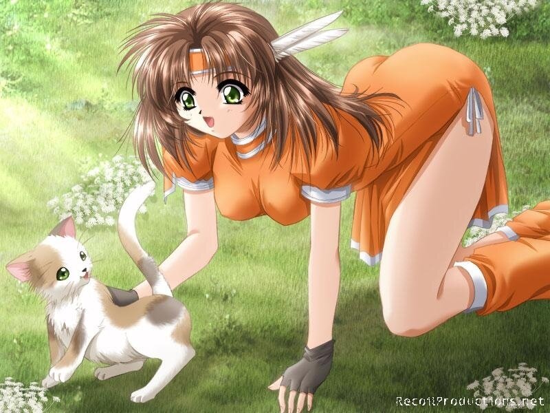 Anime girl playing with a kitten