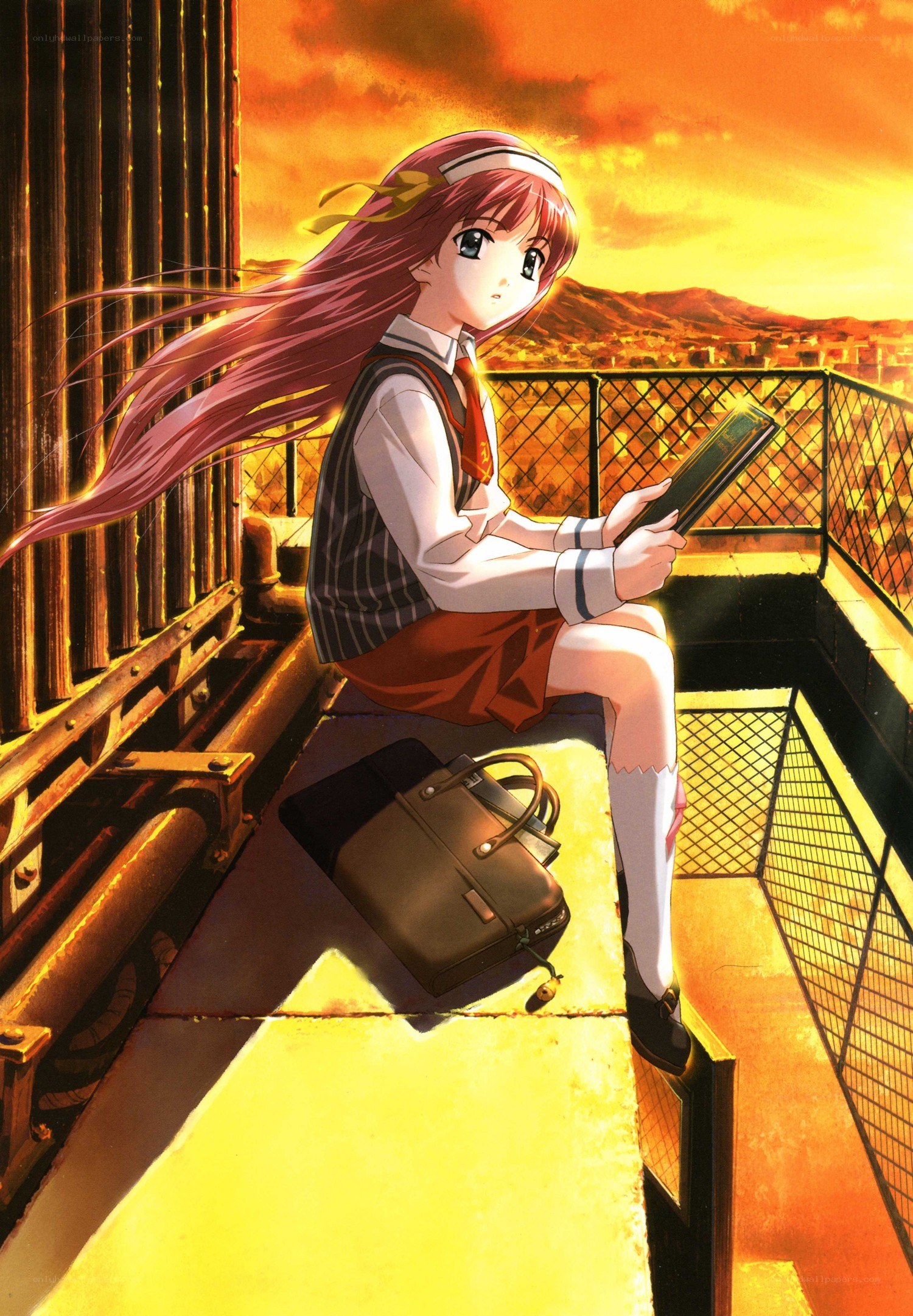 Anime girl reading at sunset