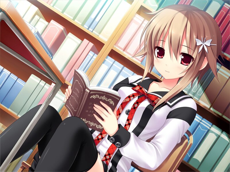 Anime Girl Reading Book — White, Calm, Bookshelf