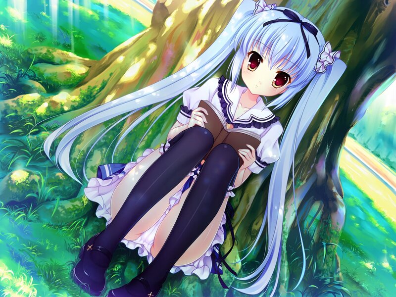 Anime girl reading in forest