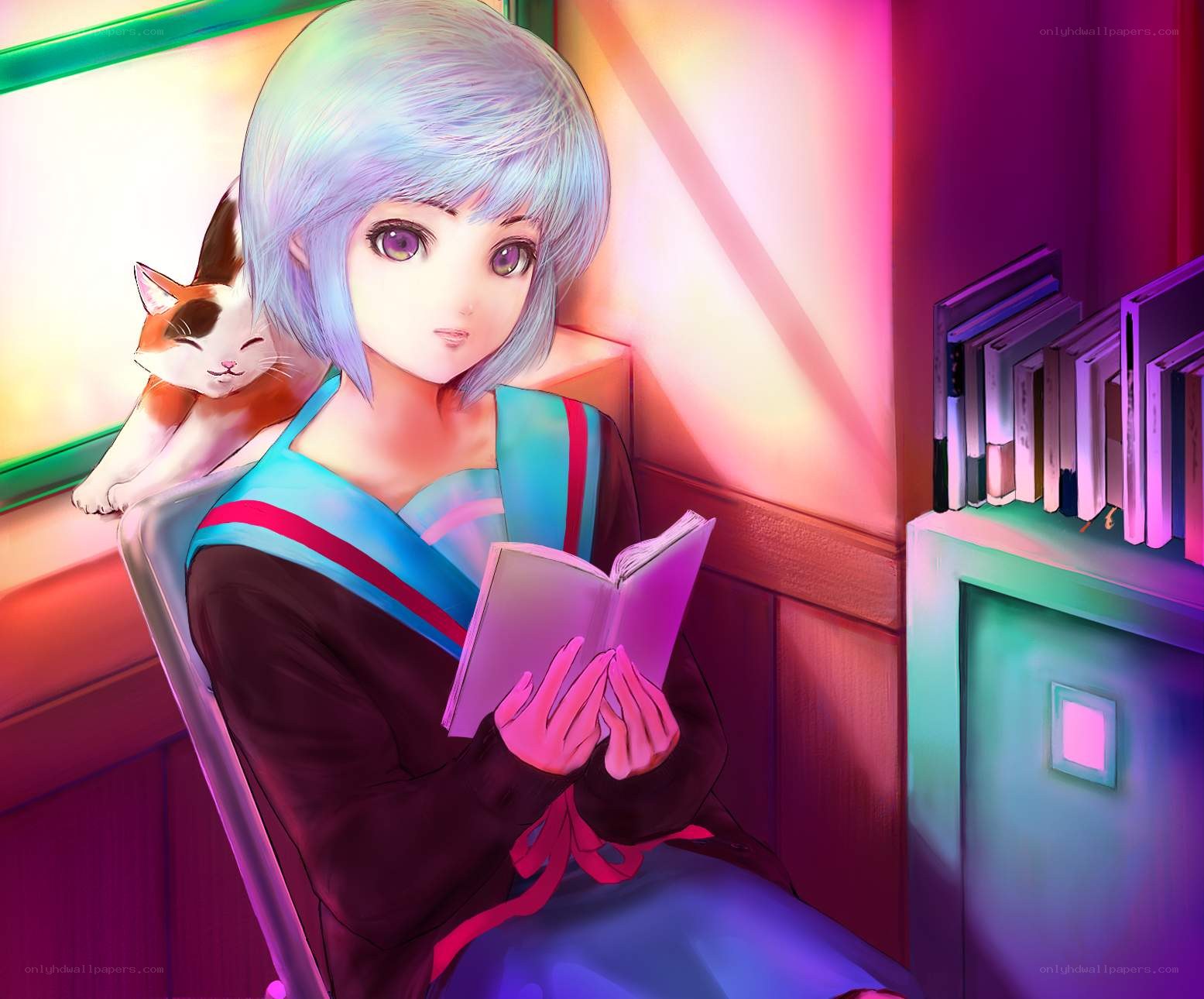 anime girl reading with cat