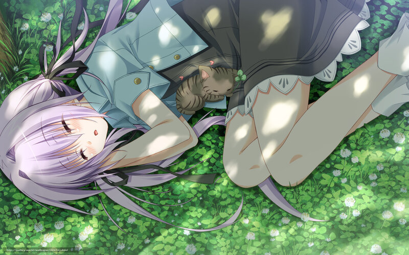 Anime girl resting in a field