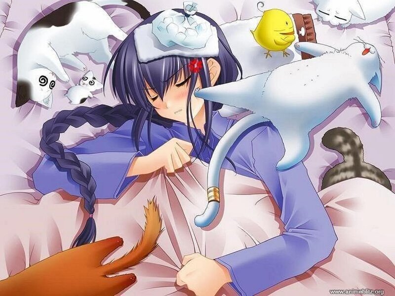 Anime Girl Sleeping — Purple, Peaceful, Manga, Cats