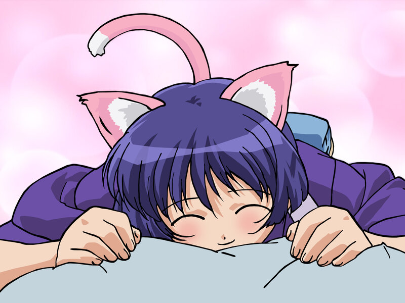 anime girl sleeping with cat ears