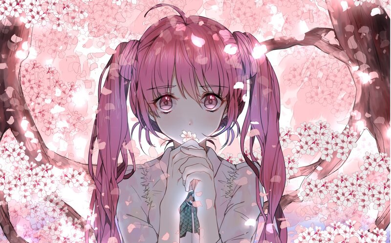 anime girl under cherry blossoms