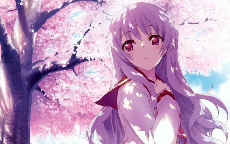 anime girl under cherry blossoms