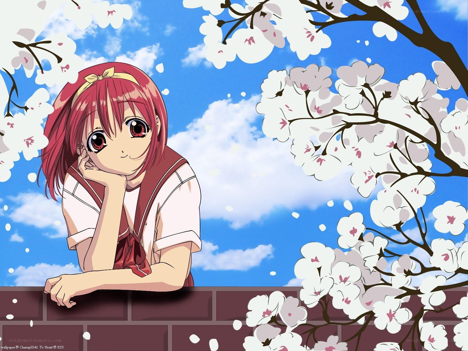 anime girl under cherry blossoms
