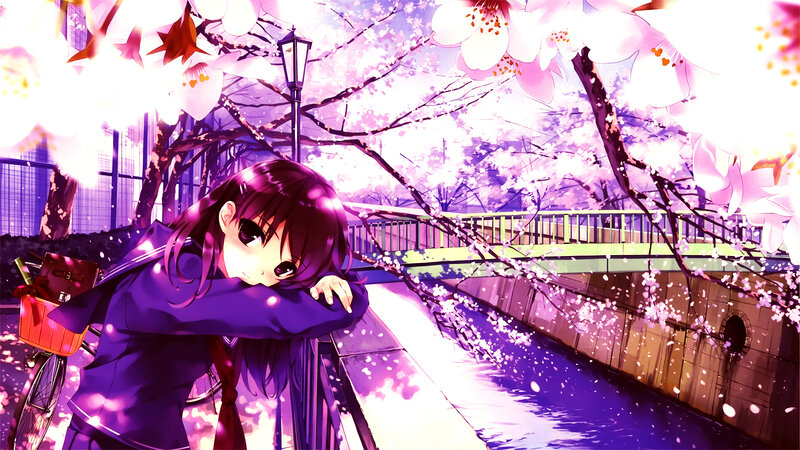 Anime girl under cherry blossoms