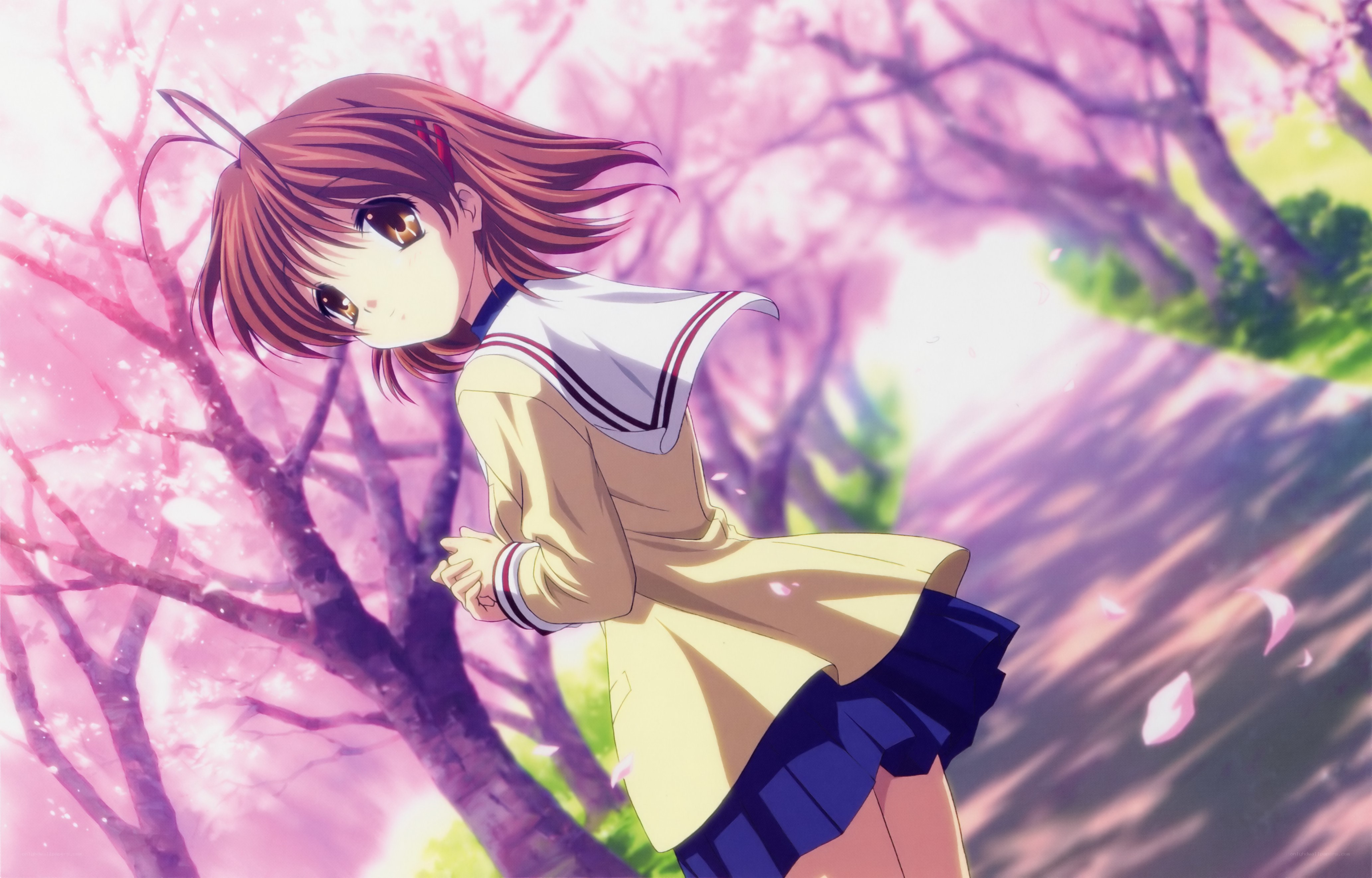 anime girl under cherry blossoms