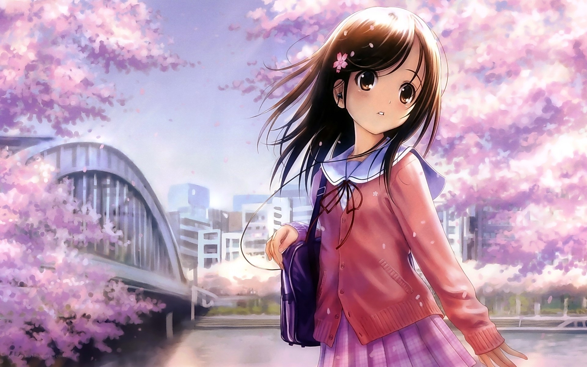 Anime girl under cherry blossoms