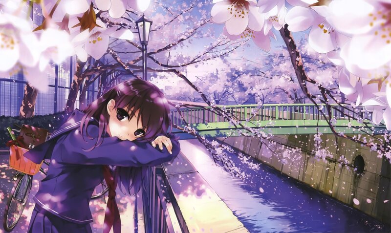 Anime girl under cherry blossoms