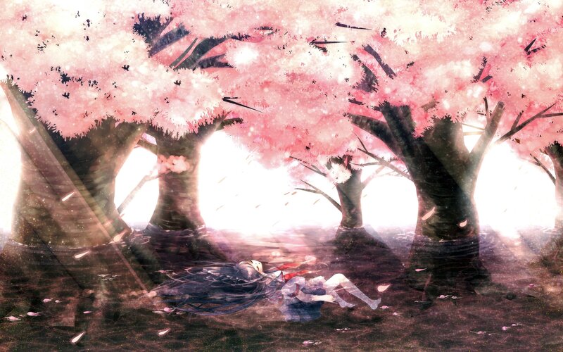 Anime girl under cherry blossoms