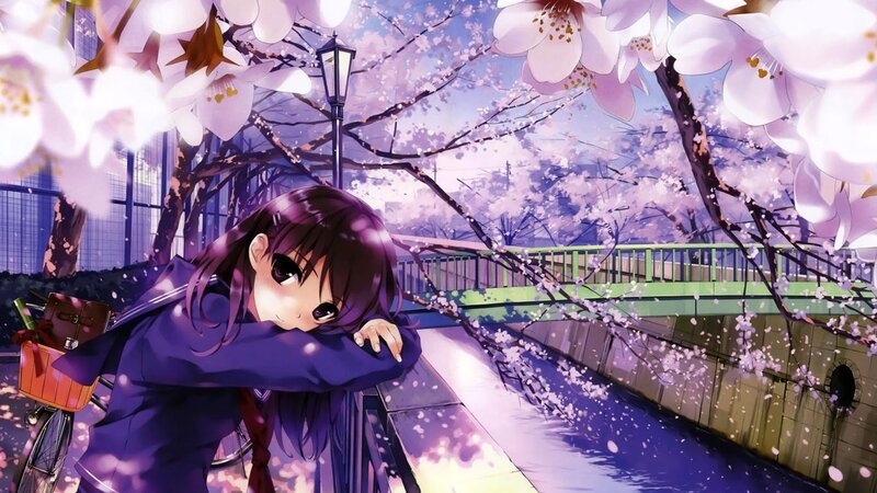 Anime girl under cherry blossoms