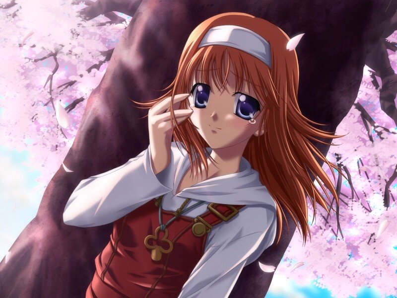 anime girl under cherry blossoms