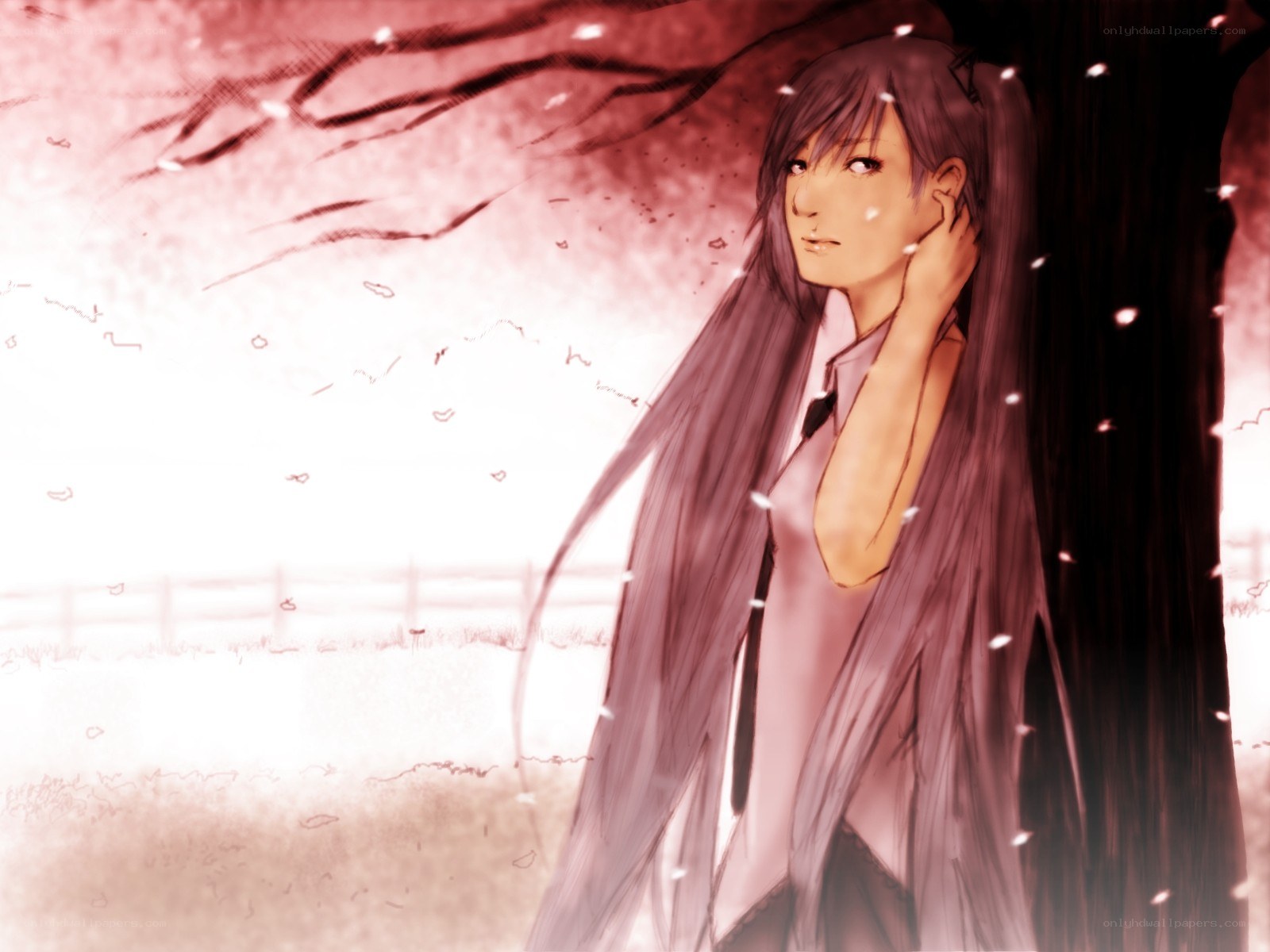 anime girl under cherry blossoms