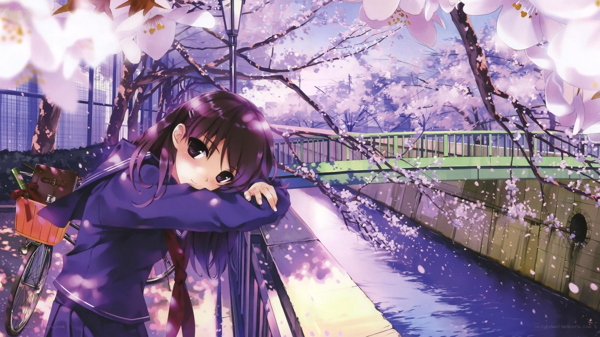 anime girl under cherry blossoms