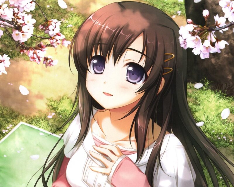 Anime Girl under Cherry Blossoms — Brown