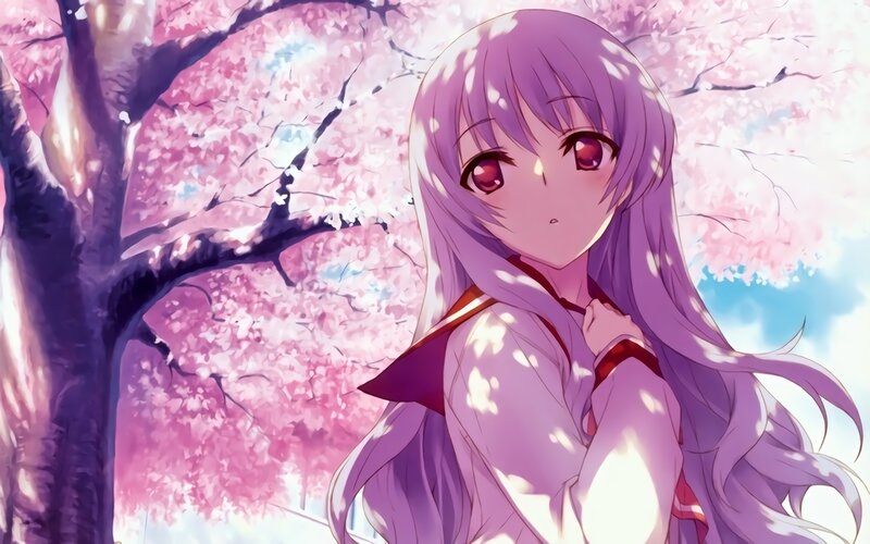 Anime Girl under Cherry Blossoms — Pink, Serene, Spring, Cherry Blossoms, Tree