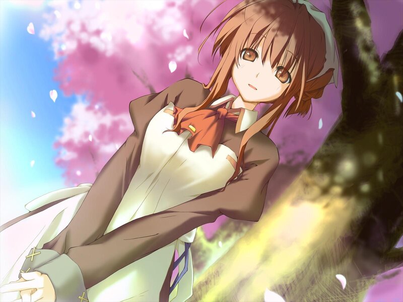 Anime Girl under Cherry Blossoms — Pink, Serene