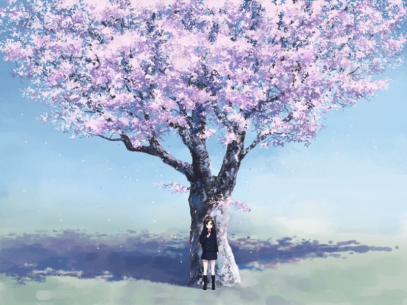 Anime Girl under Cherry Tree — Pink, Serene, Spring, Digital Art, Cherry Blossom, School Uniform, Blue