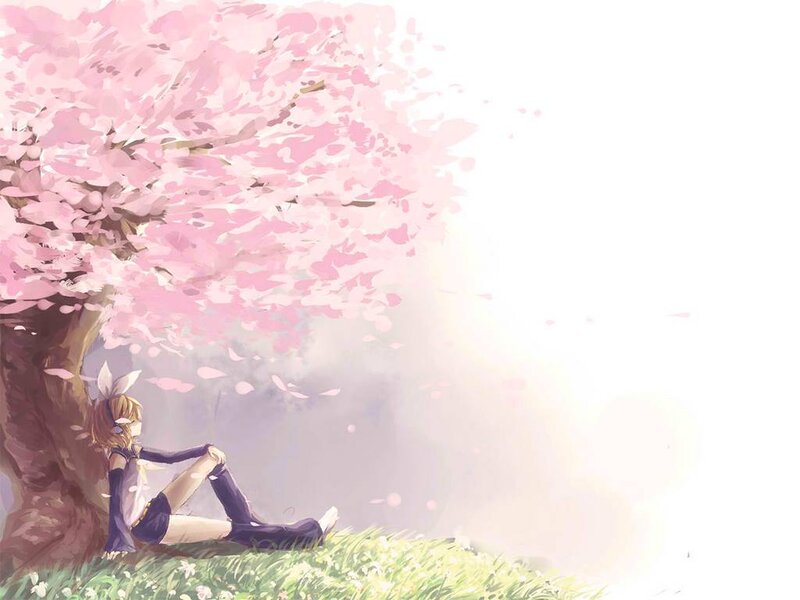 Anime Girl under Cherry Tree — Pink