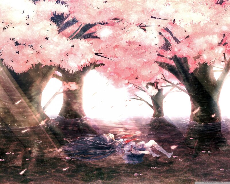 Anime Girl under Cherry Trees — Pink
