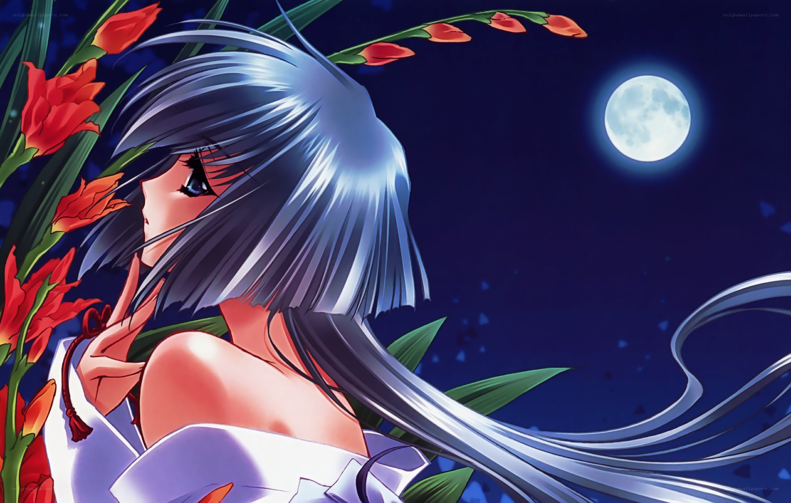 Anime girl under moonlight
