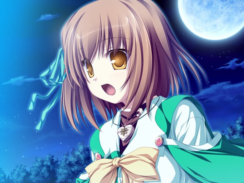 anime girl under moonlight