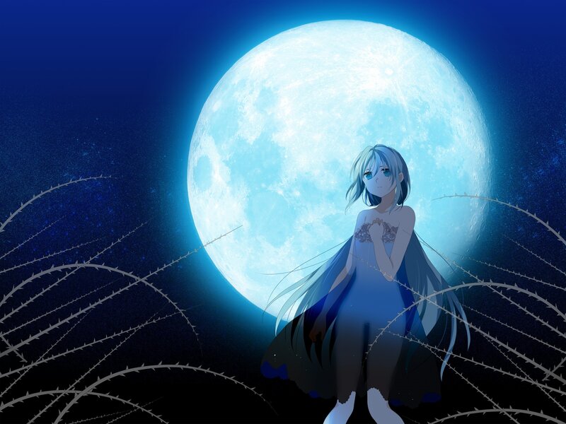Anime girl under the moon