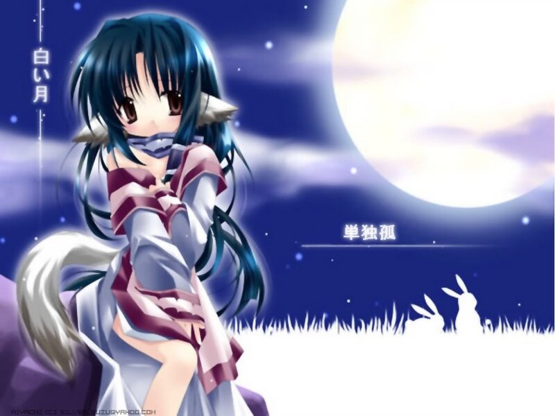 Anime girl under the moon