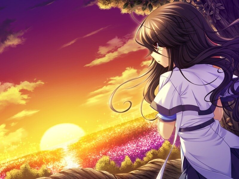 Anime Girl Watching Sunset — Purple