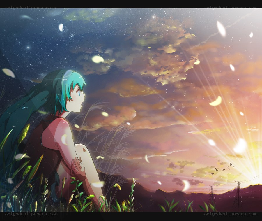 Anime girl watching sunset