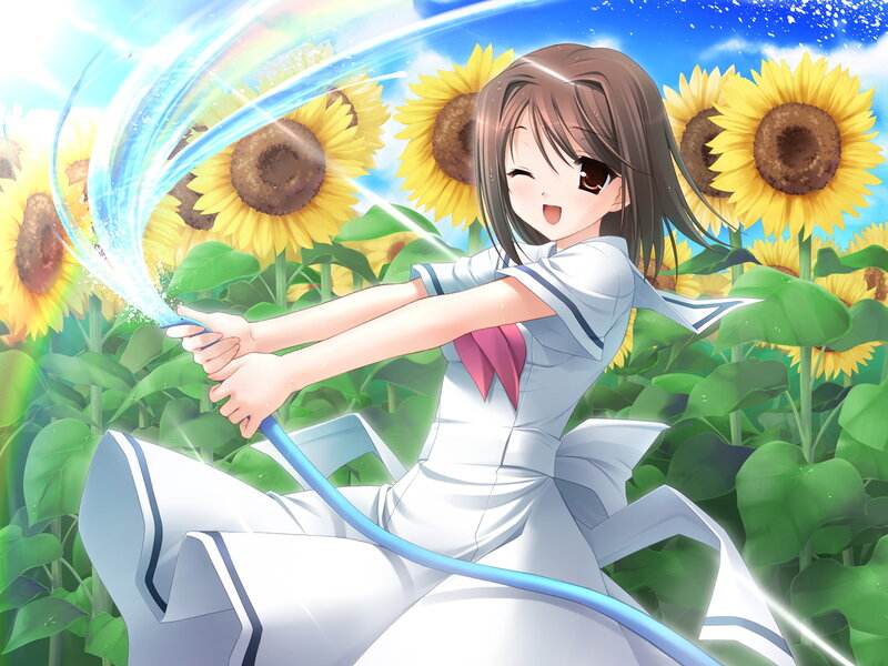 Anime girl watering sunflowers