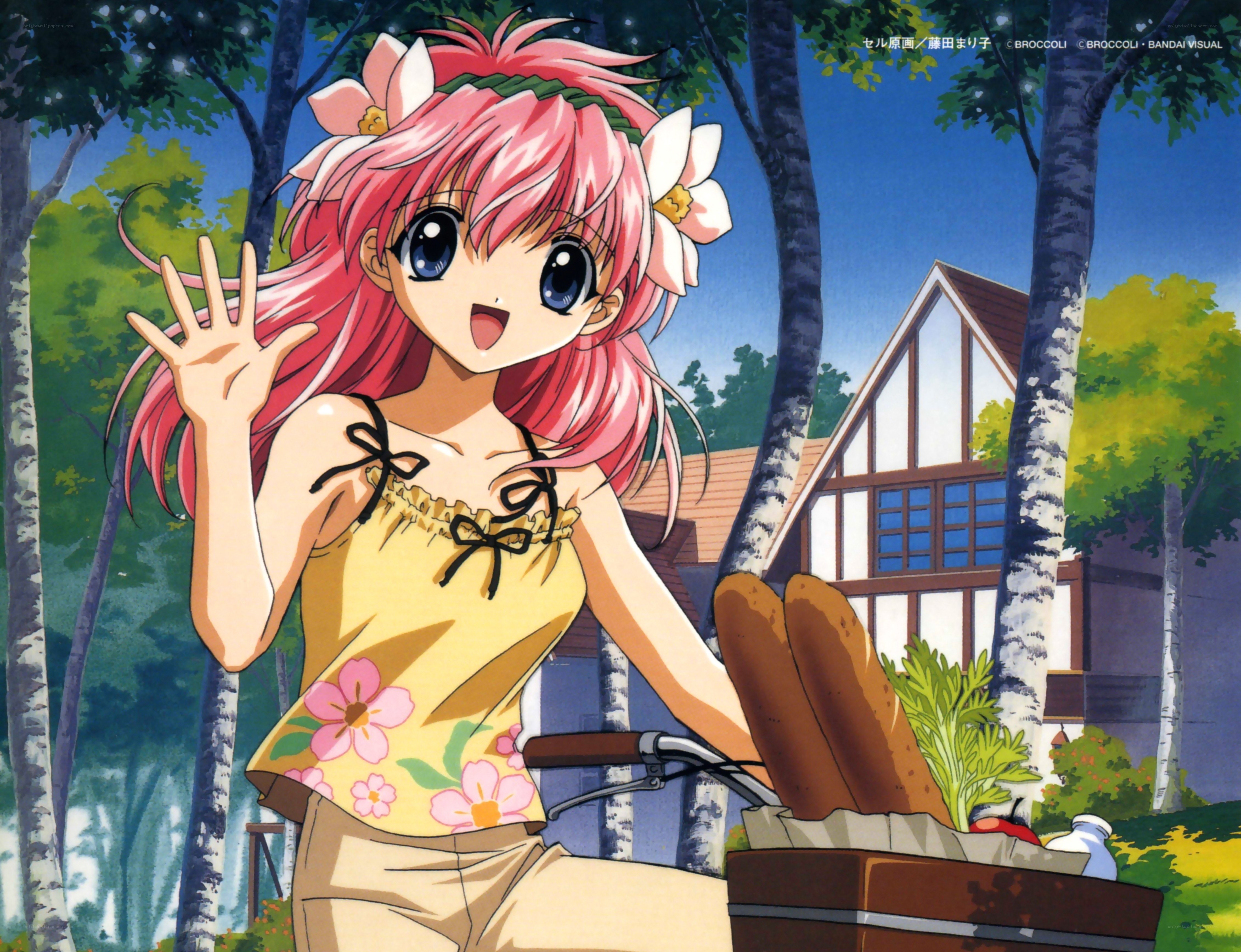 Anime girl waving on bike